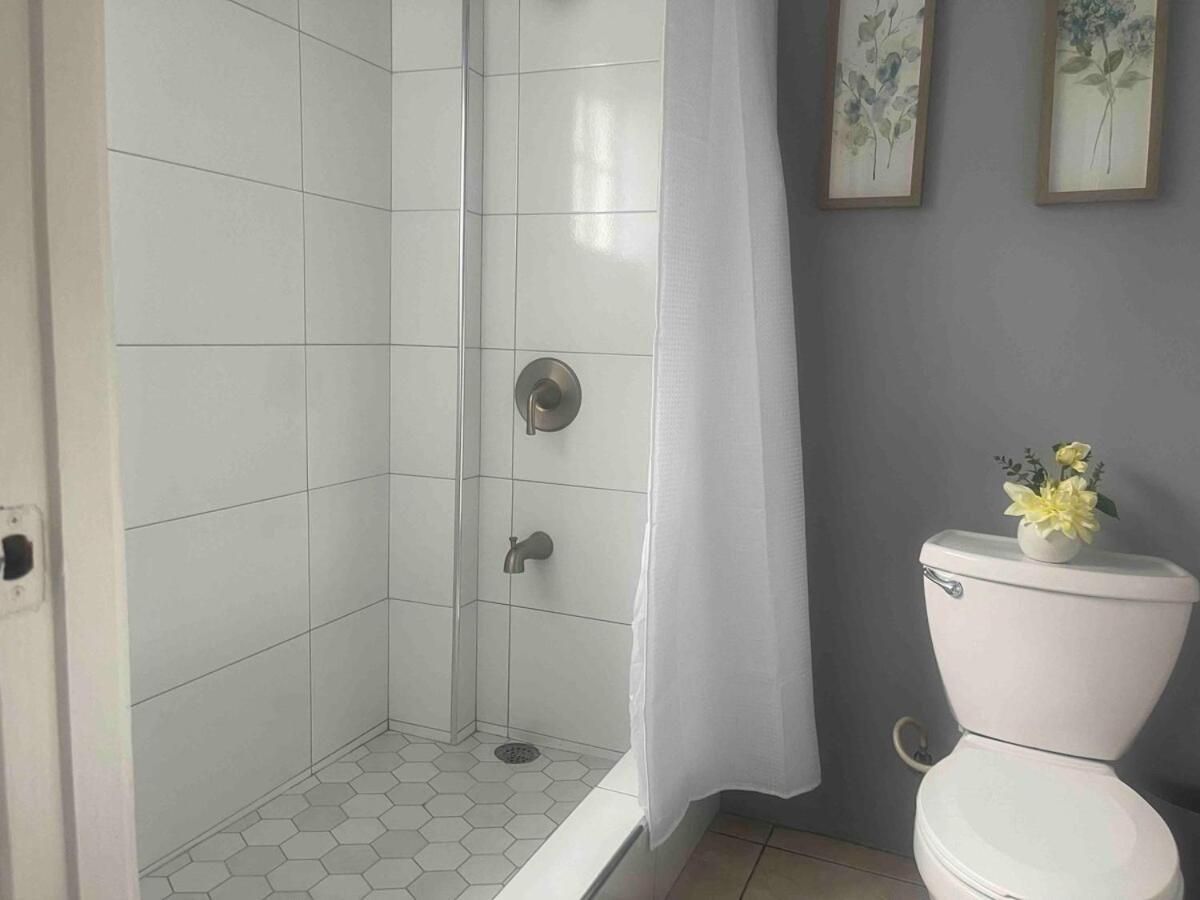 One Bedroom City Apartment Fully Ac With 24Hrs Security Kingston Dış mekan fotoğraf