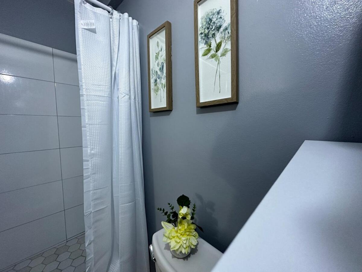 One Bedroom City Apartment Fully Ac With 24Hrs Security Kingston Dış mekan fotoğraf