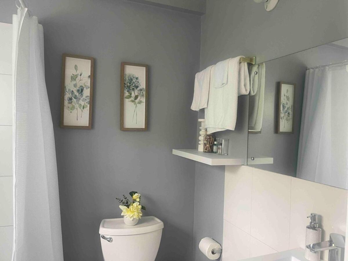 One Bedroom City Apartment Fully Ac With 24Hrs Security Kingston Dış mekan fotoğraf