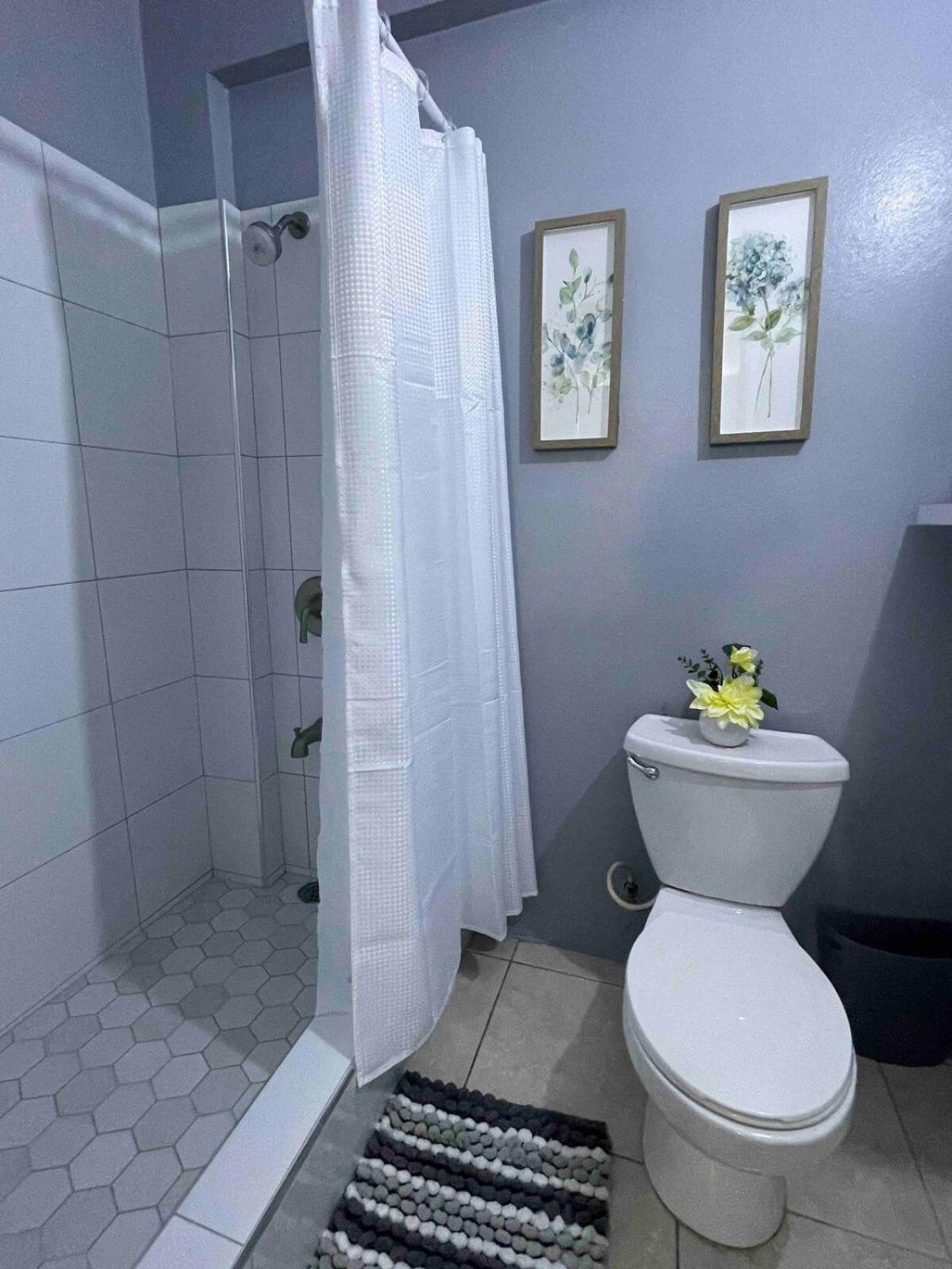 One Bedroom City Apartment Fully Ac With 24Hrs Security Kingston Dış mekan fotoğraf